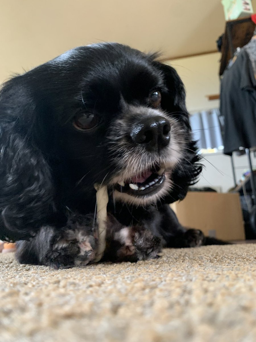 うちのアイドル世界一