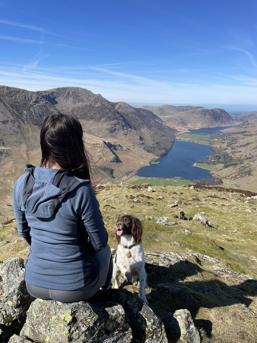 Kazzerazzer's tweet photo. @Headteacherchat Napoleon our rescue dog with my daughter enjoying the break from her Reception class! https://t.co/oAVi8jzmp5