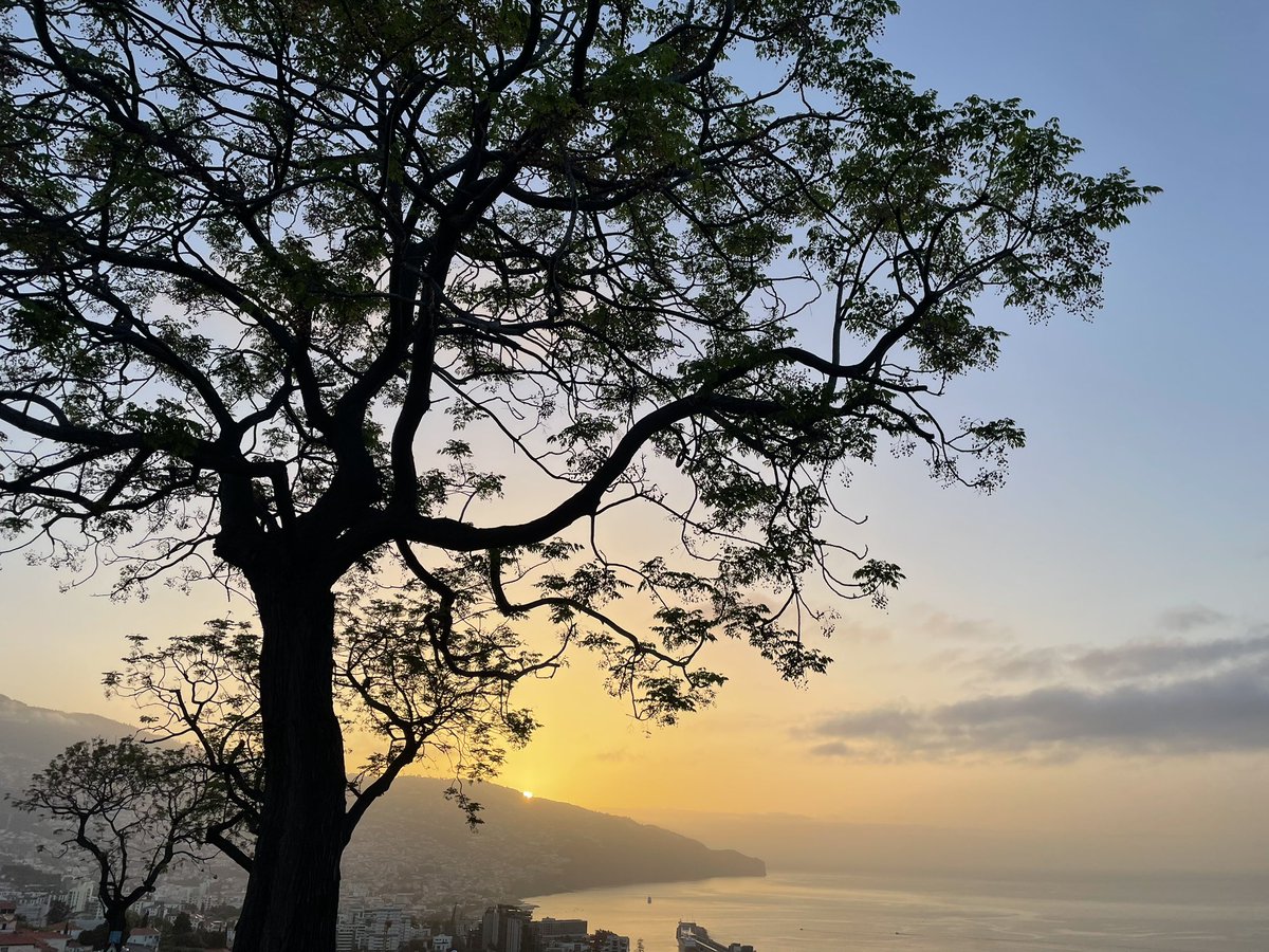 Andrew Ellis Evans tweet media