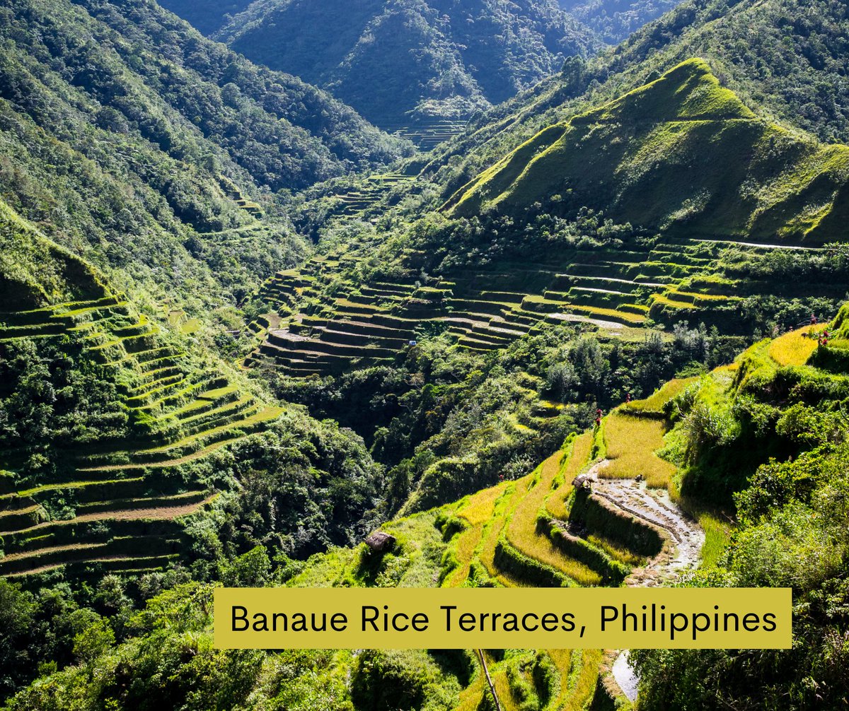 MoocsUnipd's tweet image. They're all cultural landscapes and UNESCO World Heritage sites. Learn more in our new @FutureLearn course "Historic Landscape Archaeology: Approaches, Methods, and Beneficiaries."
Sign up here: unipd.link/HistoricLandsc…
#FLHistoricLandscapeArchaeology #unipd #MOOCs #elearning