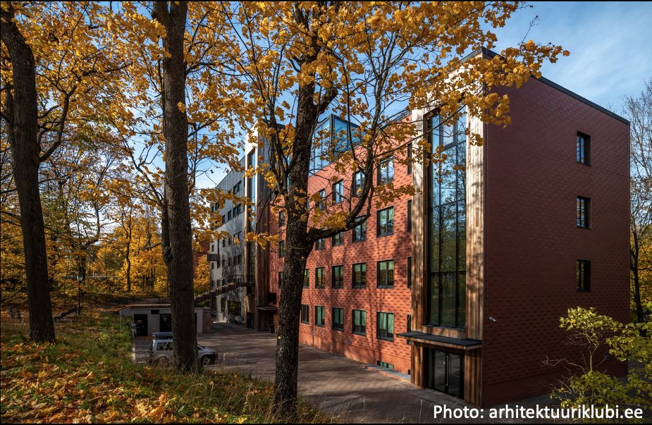 KadriRunnel's tweet photo. PhD position announcement: please help distribute! Interested in  working in the amazing Oecologicum at @unitartu on a project that  involves both hi-tech lab challenges and fieldwork? Looking for a  PhD student to study dead wood fungi and biogas flux. Contact for more info! https://t.co/1CRxN39B3q