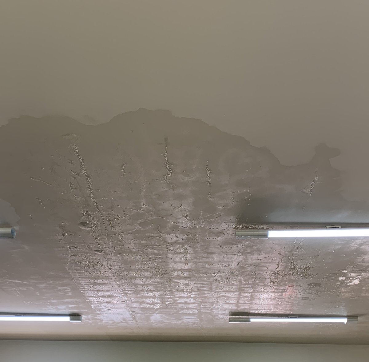 caducarlinhus's tweet image. a gente quase tendo aula de natação na sala de aula e o querido reitor vindo pedir para votar nele nessa eleição 😻🙏🏾 #ifro #ifrovilhena #educacaoquetransforma