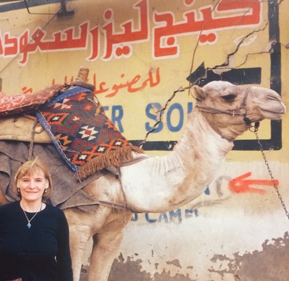 OxfamHexham's tweet photo. Happy hump day!
Camel showing his best profile and smile ๐ช
#holiday #snaps #smles https://t.co/y86vLgcOOU