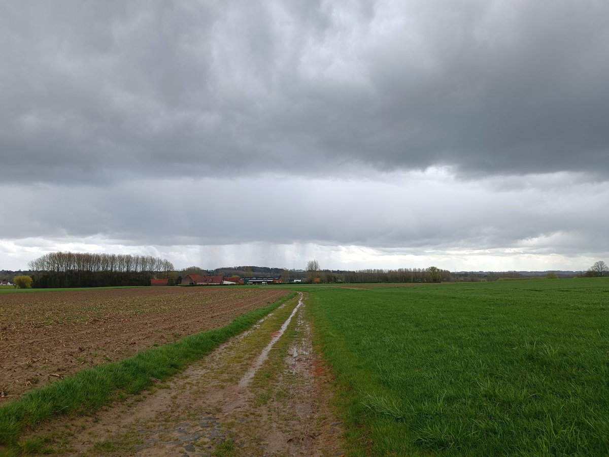 MuMuSwaenepoel's tweet photo. Lunchwandeling. Aan de ene kant dit, aan de andere kant lauwe lucht #contrasten #Essene #vrtweer 13u23 https://t.co/QpgbgKO8IN