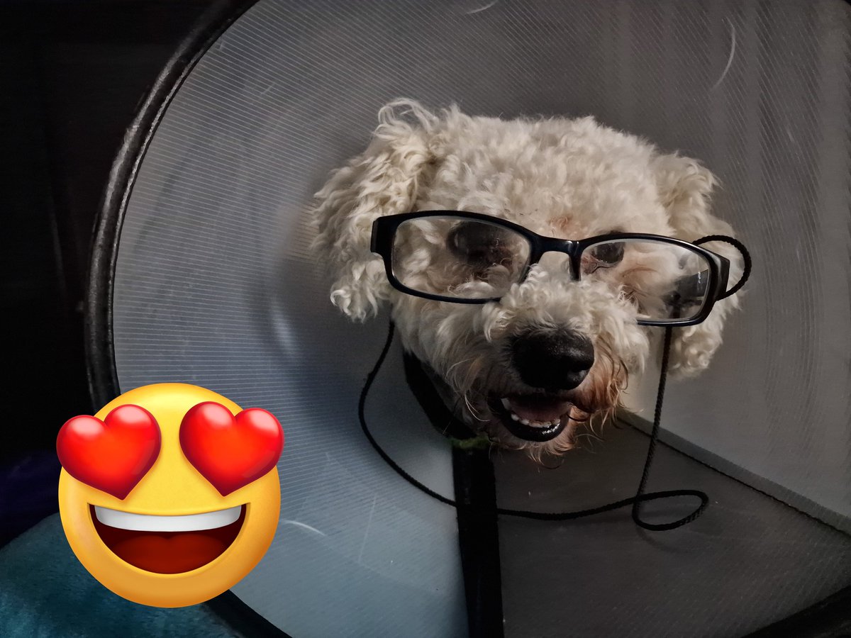 paul agentur (@paulagentur) on Twitter photo 