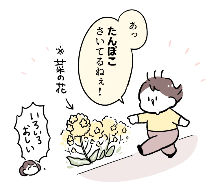 可愛すぎてほっこりしちゃう！菜の花を見た子どもの一言！
