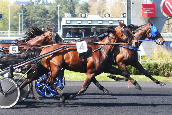 Haras De Sassy tweet media