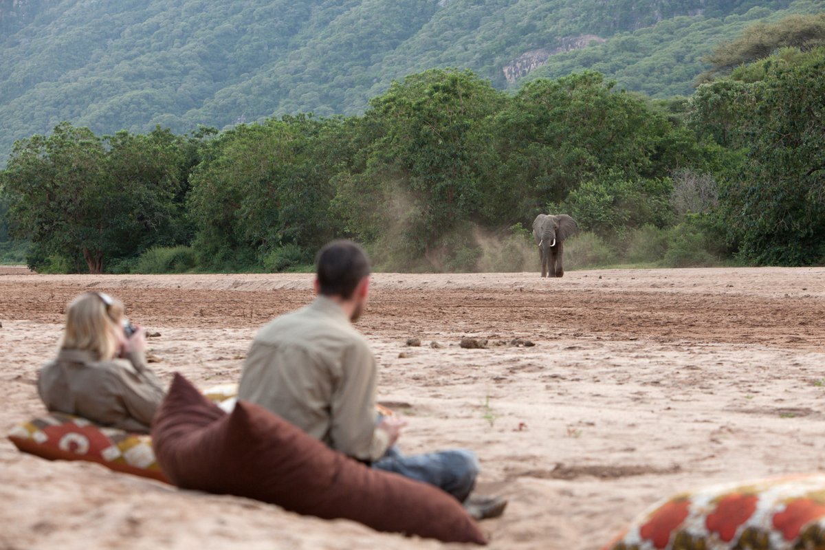 Looking for a romantic getaway?

Our #Tanzania_Safari and Adventure tour offers a unique opportunity to experience the beauty of Tanzania with your loved one.

Book now and create unforgettable memories together.

#africansafari #exploreafrica #adventureawaits #safariadventures