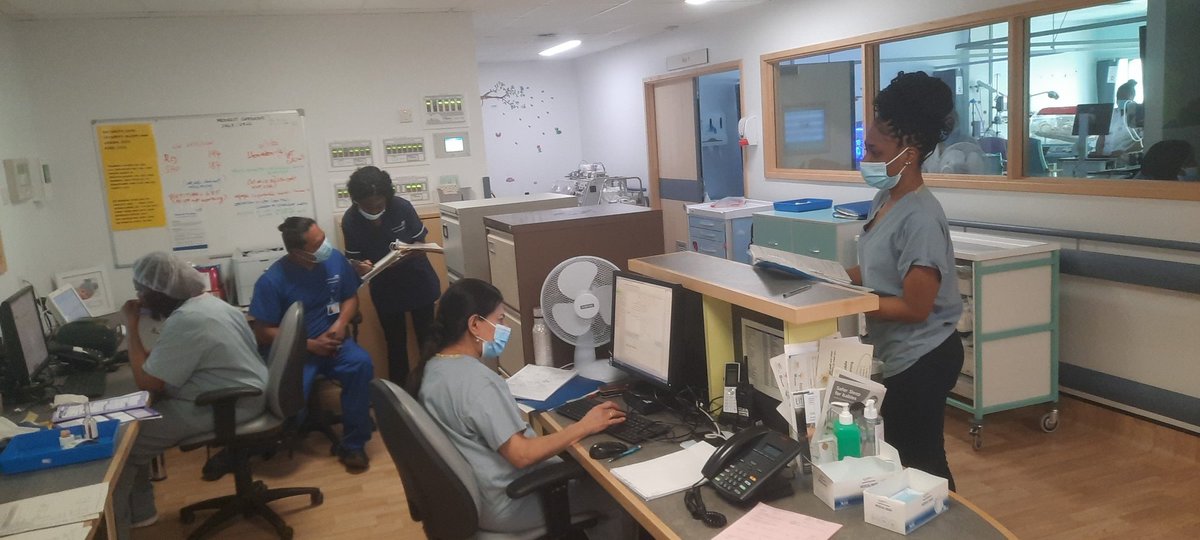 Hard working and multitasking medical team covering today! Jobs need to be done on time🩺💉💊
Demanding neonates🍼👼
@Sunriseneonatal