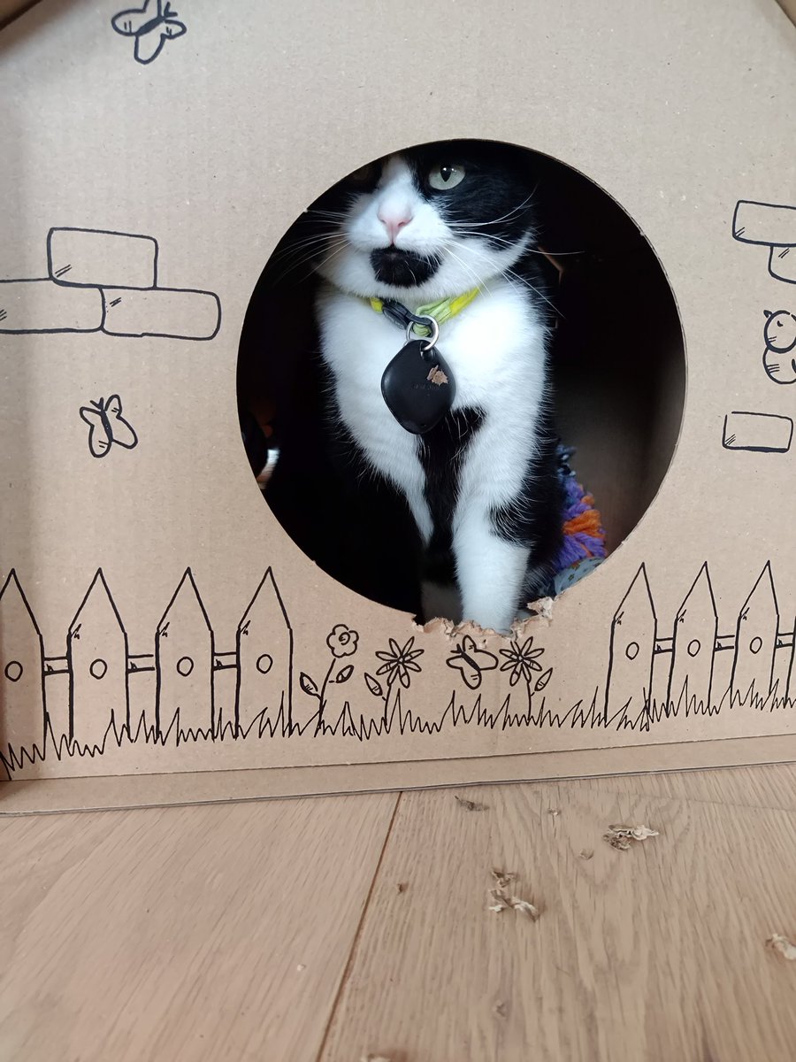 Afmælisbarn dagsins er 4 ára í dag. Til að undirbúa veisluhöld setti hún Roombuna af stað klukkan hálf sex í morgun og skellti svo dauðri mús á gólfið þegar hún var búin að ryksuga. Mía mun ekki vera með opið hús því hún umber aðeins 5 einstaklinga (4 mennskir og 1 köttur).