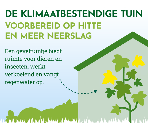 Gem_Overbetuwe's tweet photo. #Duurzaamheid | Tegel eruit, gratis plant erin! 🌱
De Tegelruilactie in Overbetuwe loopt nog tot en met 30 april. De tegels halen we 𝗴𝗿𝗮𝘁𝗶𝘀 bij je op met de Tegeltaxi. Vergroen je omgeving en doe mee! Kijk voor meer info op https://t.co/aiMPPkAIUf. Inspiratie nodig? 👇 https://t.co/ae8uk6zJAk