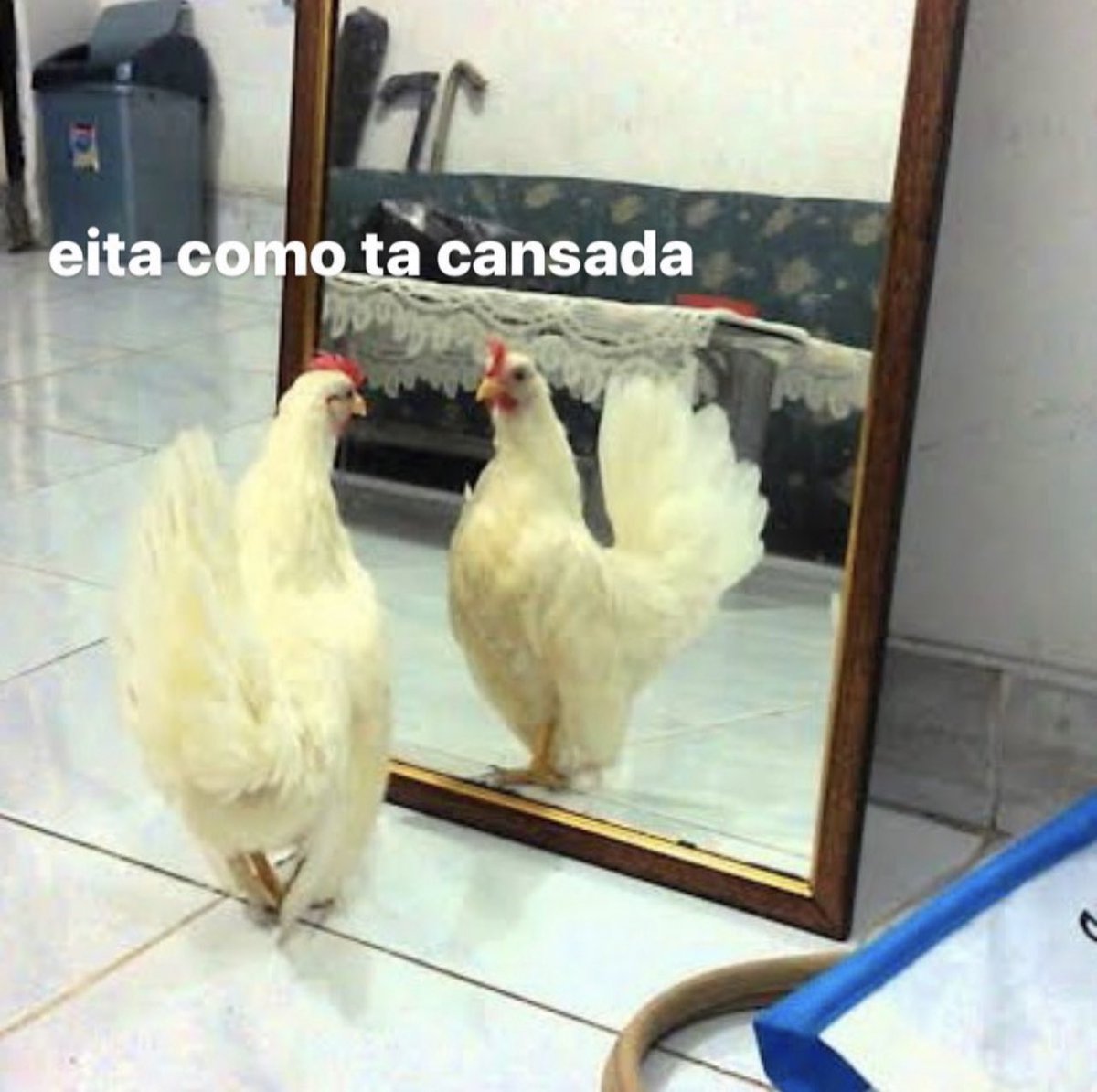 hokus pokus you've lost your focus tweet media