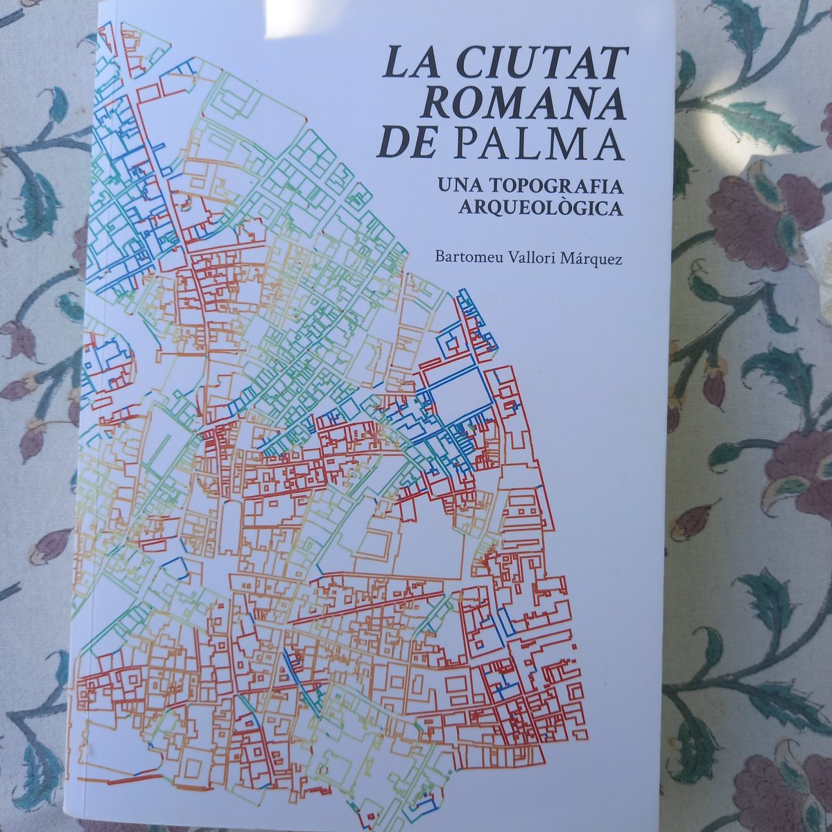 <a href="/MAREMAGNVM_IB/">MAREMAGNVM</a> <a href="/romana_palma/">Palma romana</a> <a href="/BmeuVallori/">Bartomeu Vallori</a> <a href="/SonEspases/">HU Son Espases</a> <a href="/culturamallorca/">CulturaMallorca</a> <a href="/PalmaCultura/">Palma Cultura</a> Grandíssim descobriment.
Necessitam que es torni a editar, reimprimir... el que sigui. Però ja! Imprescindible.