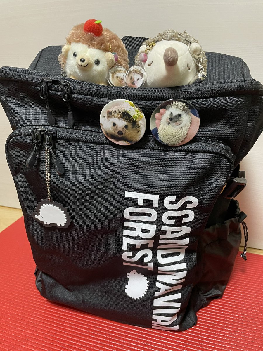 chagm0218's tweet photo. 使っていたリュックが壊れたので、ずっと気になっていたSCANDINAVIAN FORESTのリュックにしました！チャグムとエリンの缶バッジもつけておきます🦔 https://t.co/VilrN5JYRm