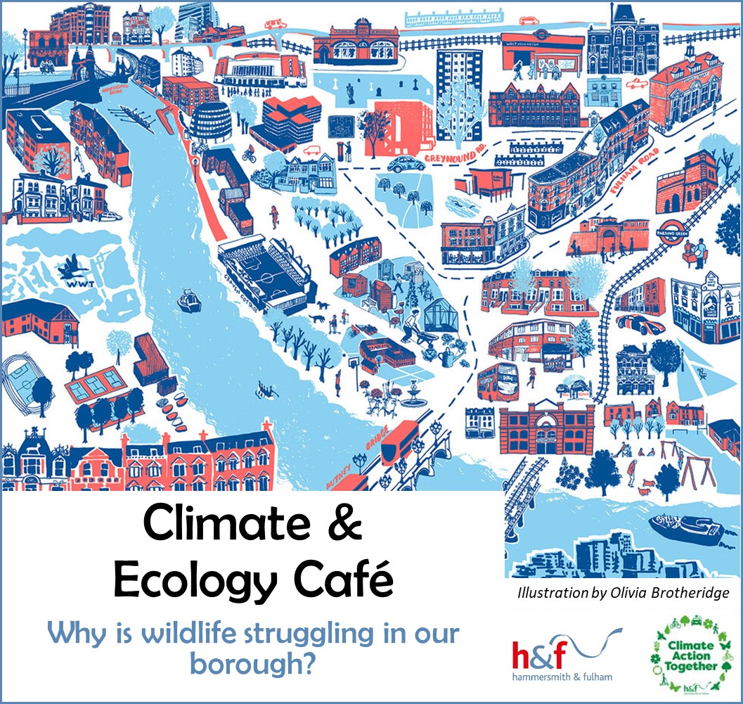 LBHF's tweet photo. 🌍Our next FREE Climate Café lunchtime webinar is on Thurs 20 April at 12.30pm

🦋This month we look at why we're seeing less wildlife in the borough -and how you can help reverse this trend!

Sign up here: https://t.co/Wr5LL9L3QQ https://t.co/S8u1awIoNx