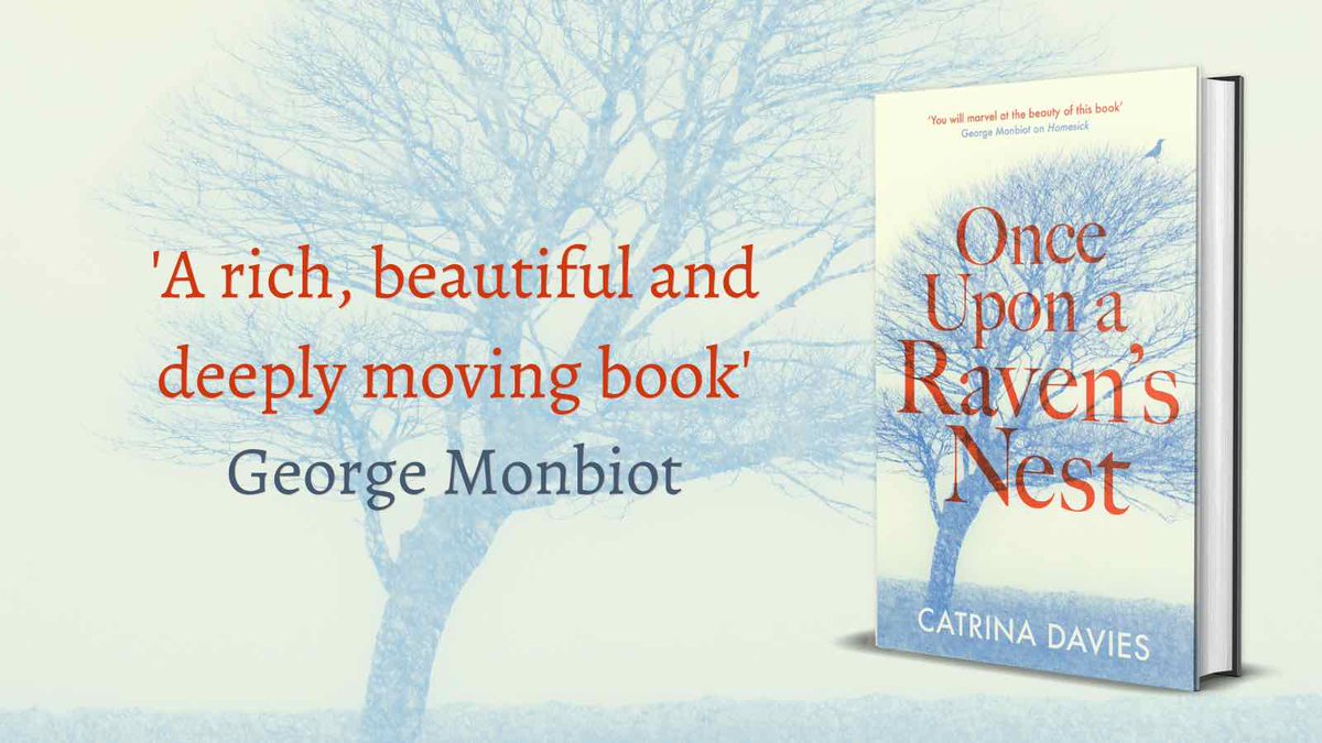 CatrinaDavies tweet media