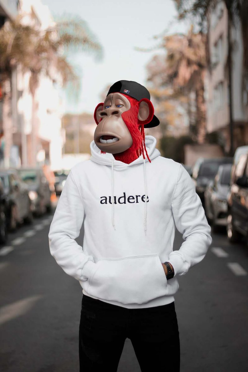 SirYannikEth's tweet photo. My Hape is ready for the Hapewalk!Thank you again for this nice edit🫶@Cakelo_Ren 
@HAPEsocial 
#Hape #HapefollowHape #Hapefluencer #fashion #Hapesocial https://t.co/AiefCGg71L