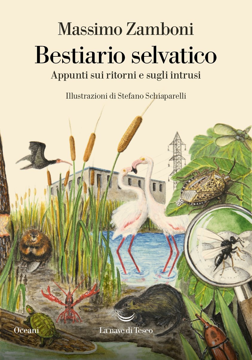 BESTIARIO SELVATICO | Presentazione del libro
"Bestiario selvatico. Appunti sui ritorni e sugli intrusi" di Massimo Zamboni

L'autore dialogherà con l'entomologo e scrittore Gianumberto Accinelli

Sabato 15 aprile, ore 16.00 #palazzodeimusei

musei.re.it/musei2021/2022…