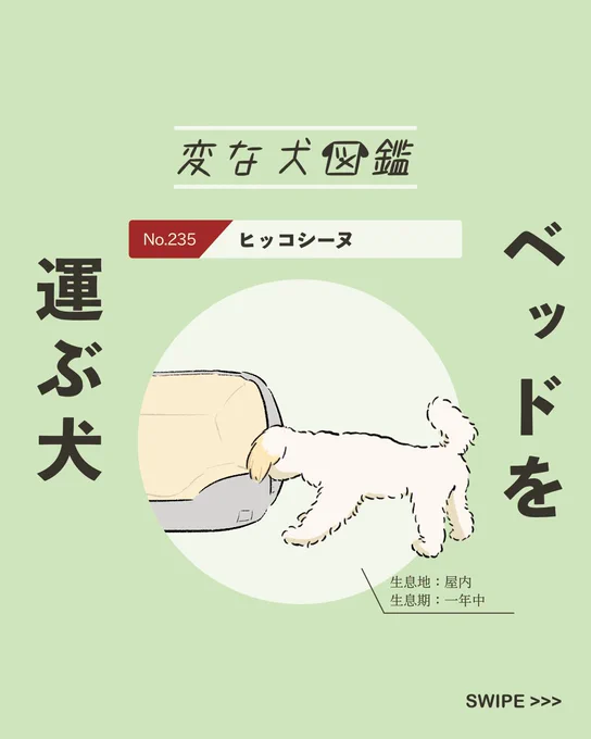 【#変な犬図鑑】
No.235 ヒッコシーヌ
自分のベッドを運ぶあの犬です。 