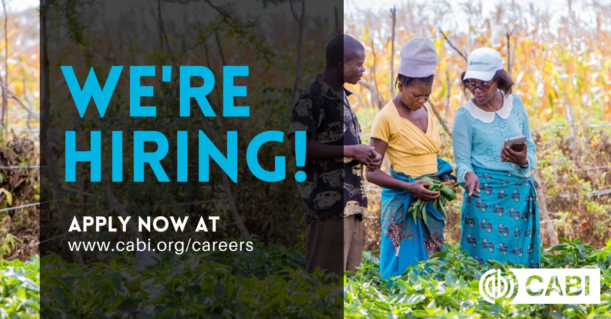 ▶▶▶Apply now!◀◀◀ 

⚫ Project manager
⚫ Project officer
⚫ Data Policy Analyst
⚫ Gender manager
⚫ Content &amp; Data Analyst

⏩ ow.ly/2zoP50NGIcq