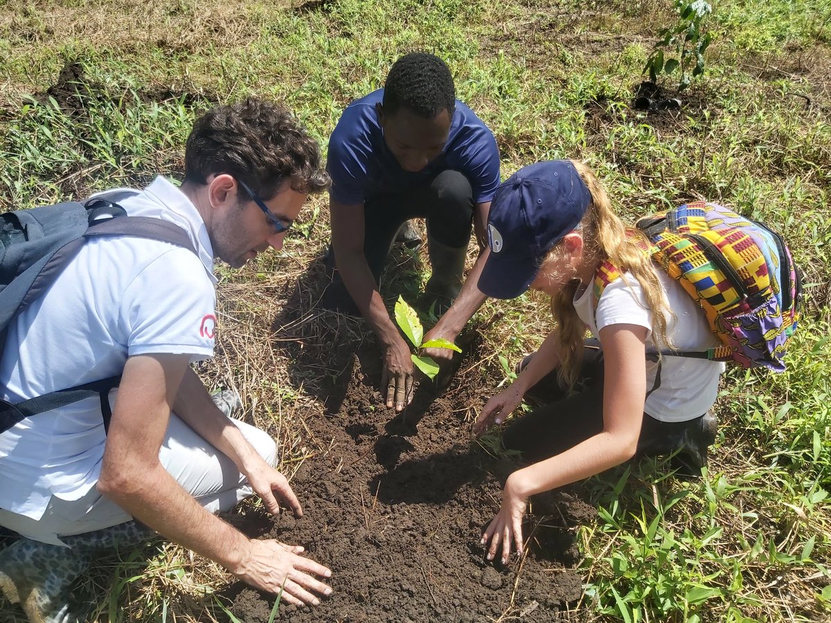 PLinTanzania's tweet photo. ✅ During Easter, using the opportunity given by the rain season, we planted trees in the Udzungwa Botanical Garden.
Thanks to @ReforestAfr, @PLinTanzania 🇵🇱 with friends had a chance to join the efforts of reforesting the Kilombero Valley in Central 🇹🇿. https://t.co/HXh3bpzWRy
