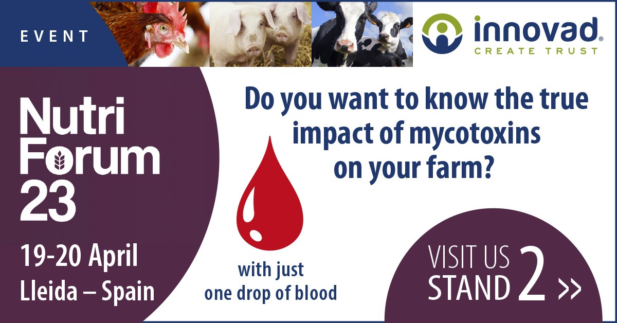 innovadgroup's tweet photo. Just one drop of blood. That's all it takes to directly measure #mycotoxin exposure. Visit us at #Nutriforum stand 2 to learn more.

📅 Date: April 19th-20th
📌 Location: Lleida, Spain
📲 More info: https://t.co/p1SWgdN1GX

#MycoMarker #AnimalHealth #InnovadGroup #CreateTrust https://t.co/89Lu7XYDgL