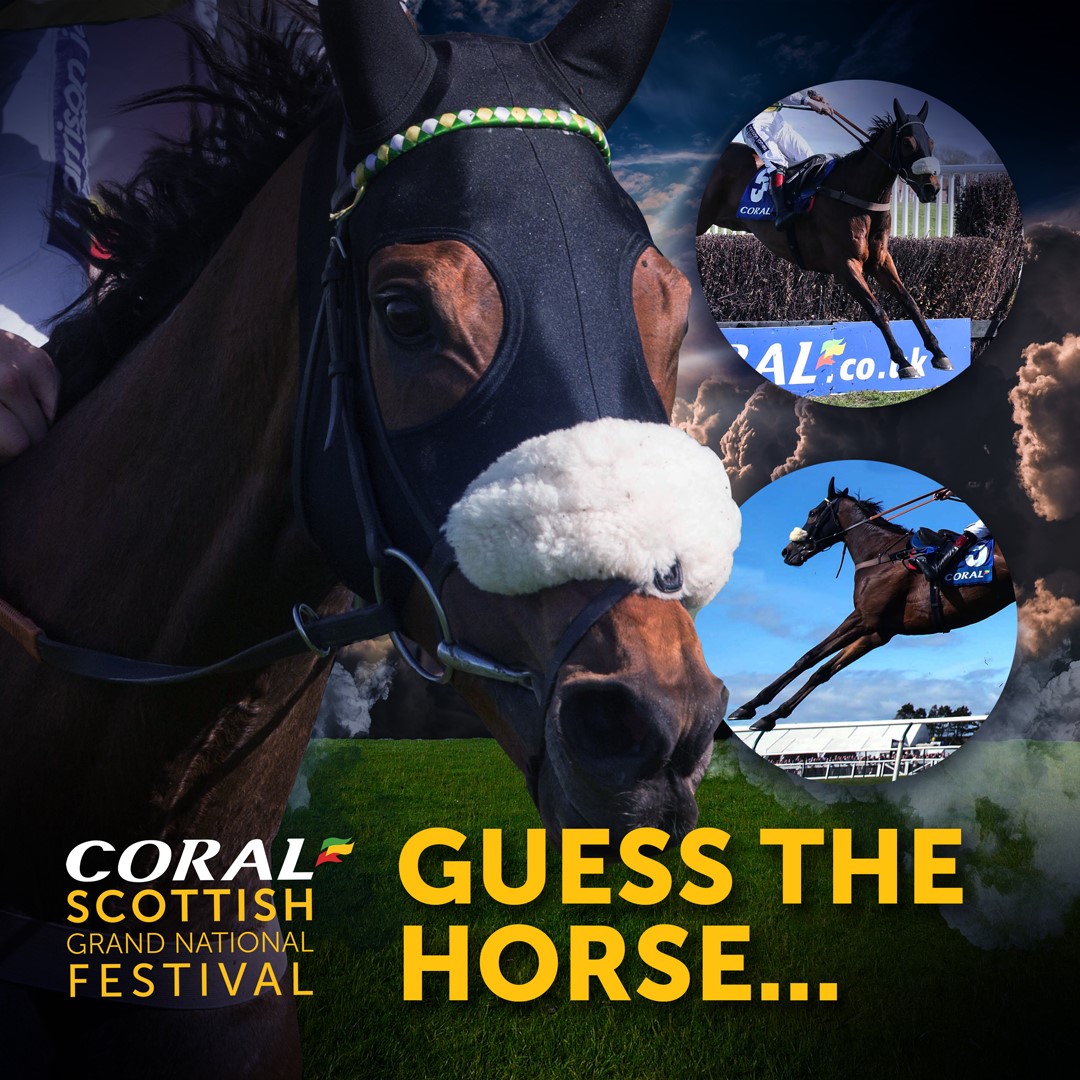 Ayr Racecourse tweet media