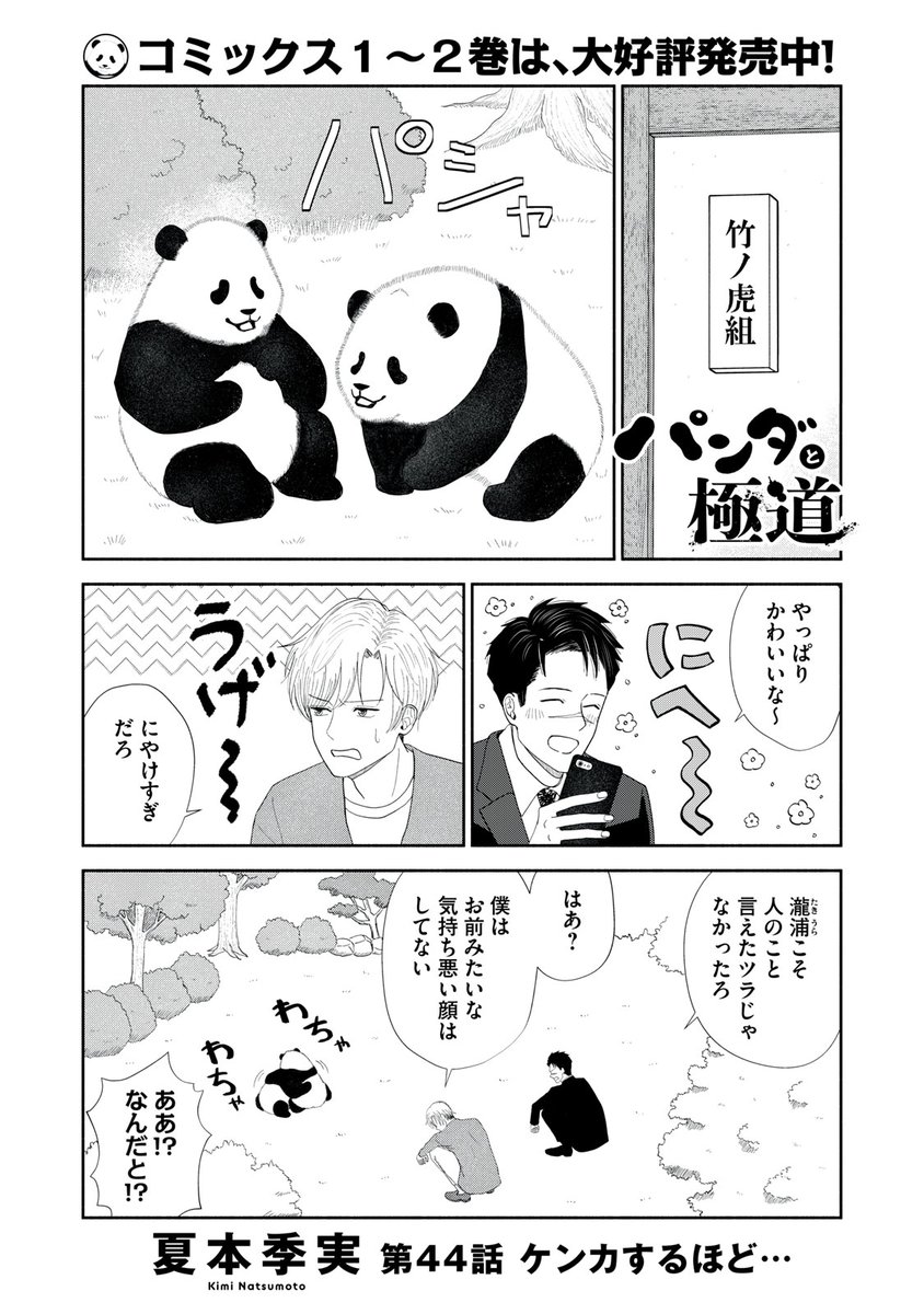 『パンダと極道(隔週更新』無料話の続きはこちら!

ももとマロンのケンカを見守る二人。2匹と2人のケンカはヒートアップし…!?

↓第44話 ケンカするほど…↓
https://t.co/FT1jsKE1w8

#モーニングツー 