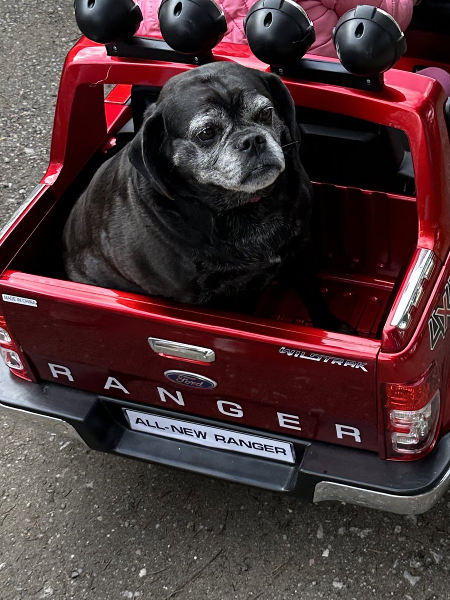 70… also in Hundejahren 🤷🏻‍♂️