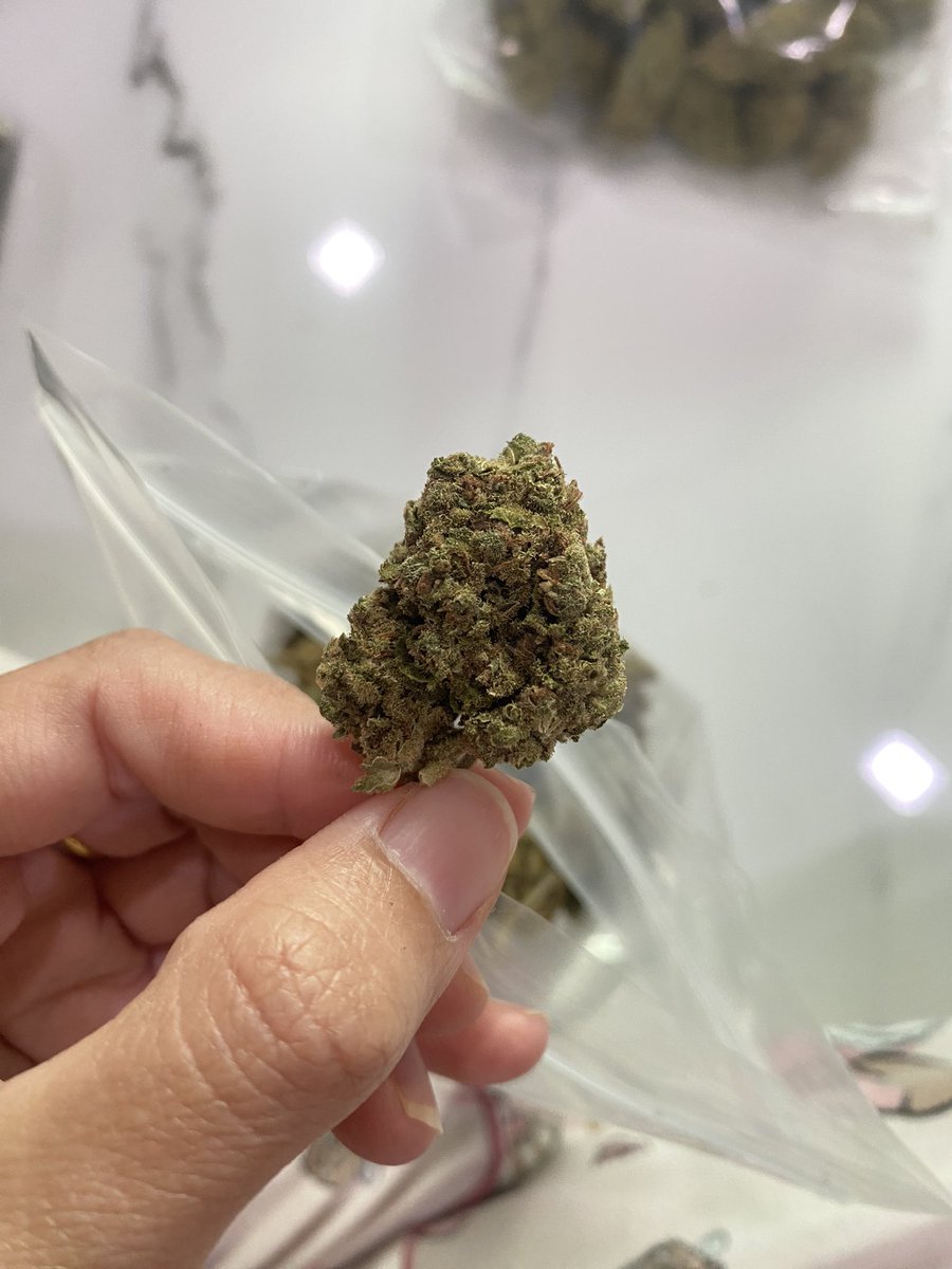 SNying6's tweet photo. #กัญชาต้นฤดู +ขวดโหล
#weedthailand #cannabisindustry #cannabis #weedog
Blue dream 1g =150
Lemon haze 1g = 150
ชนมือได้ที่พระรามสอง 🛵🛵
ไลน์ https://t.co/9NeY56Zx7b
#กัญชาออแกนิค #og #กัญชาพระรามสอง #กัญชากรุงเทพ #กัญชานอก #กัญชา #Weedmob #กัญชาog #ดอกog #ดอกกัญชา #กัญชา https://t.co/y7BYoFhE68