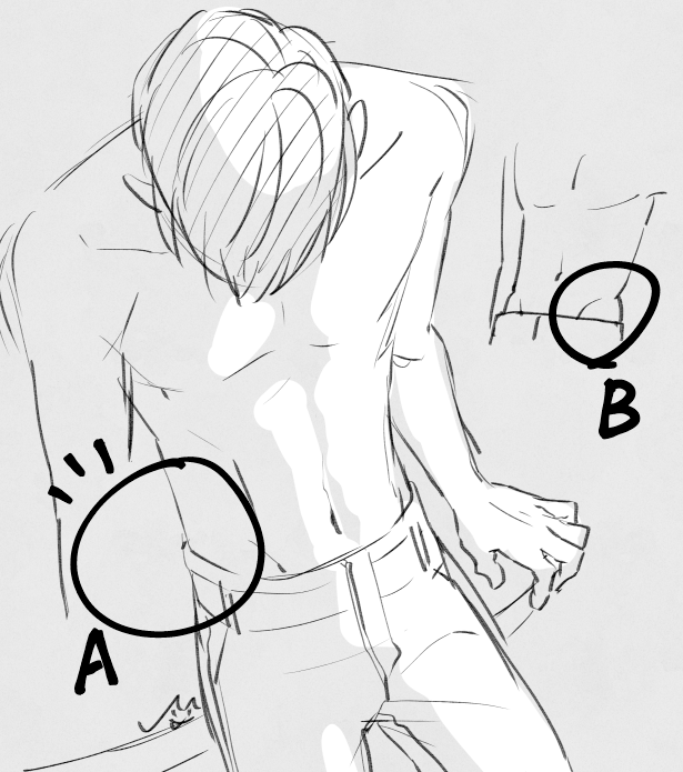 あとあの寛骨?の上に肉がのる派のらない派もキノコタケノコ並みに語り合ってもいいと思うのだよ。痩せてる人は腰回りも肉がついてないからストンってなってるけど、腹筋われてたりするような人はBみたいにあるがこの、なんていうの、中高生キャラとかにはなかなか取り入れられない大人の魅力と言