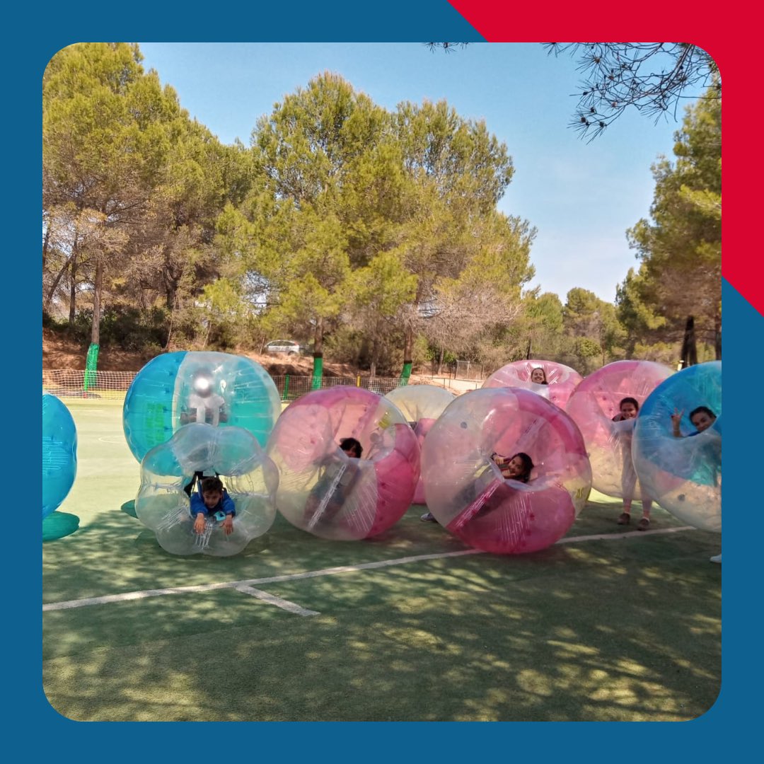 CJ Montesión - FA tweet media