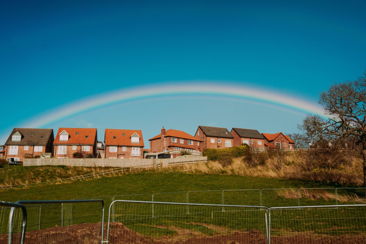 Brenig Construction tweet media