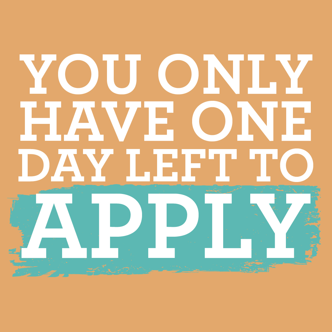 CEO for One Month tweet media