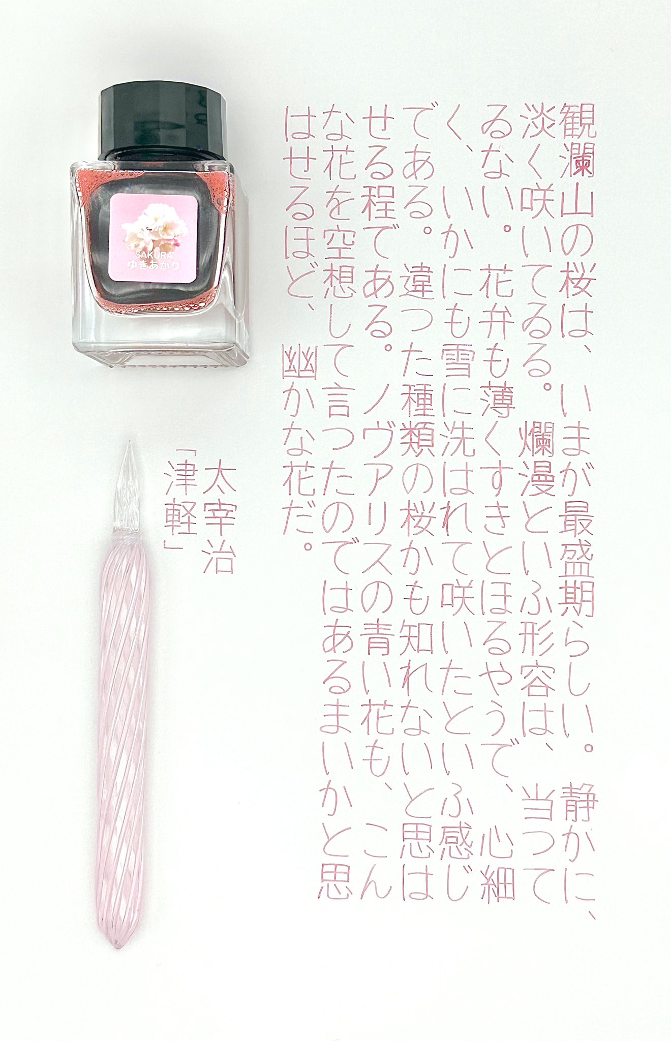 ganeyukiトンネルのカラス【A4サイズ】 ganeyukiトンネルのカラス【A4サイズ】