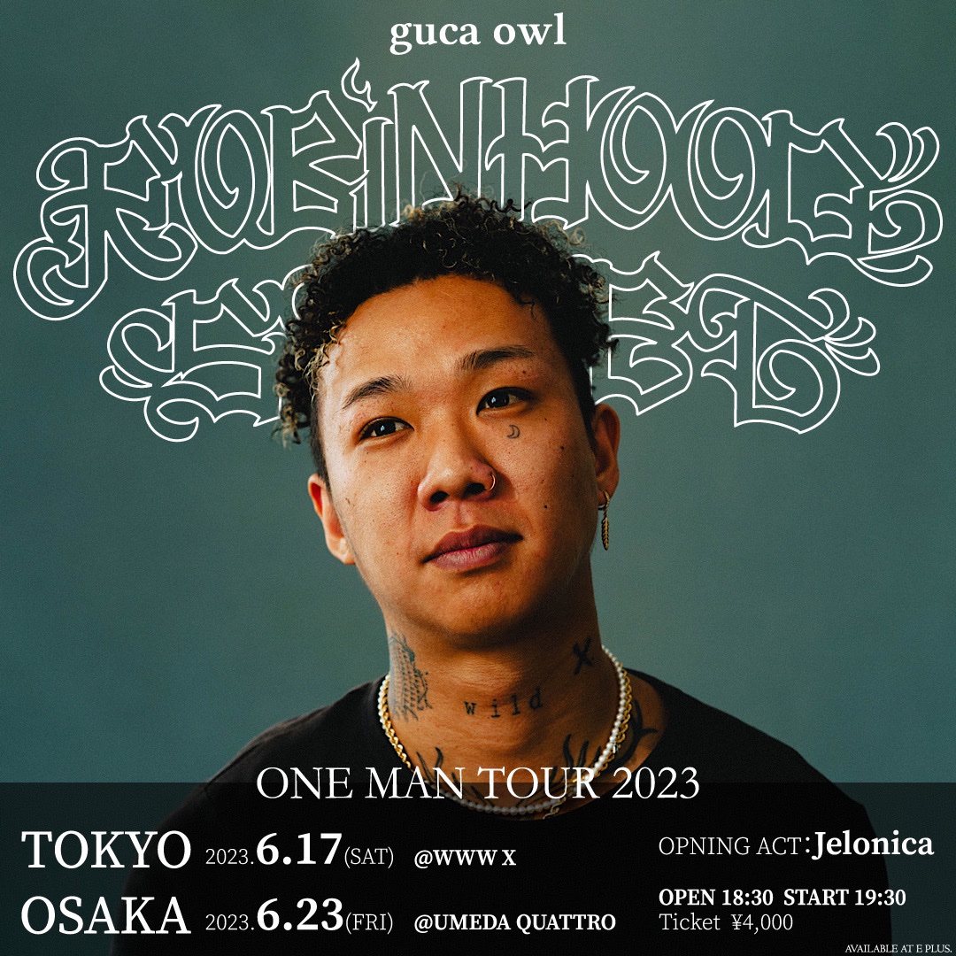 gucaowl ROBIN HOOD STREET LP レコード 2025年最新】guca owl robin