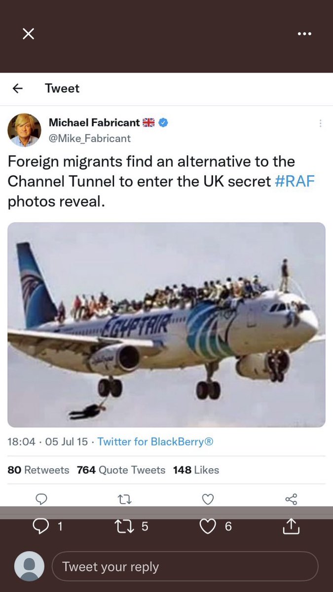 daisymeg1 tweet media
