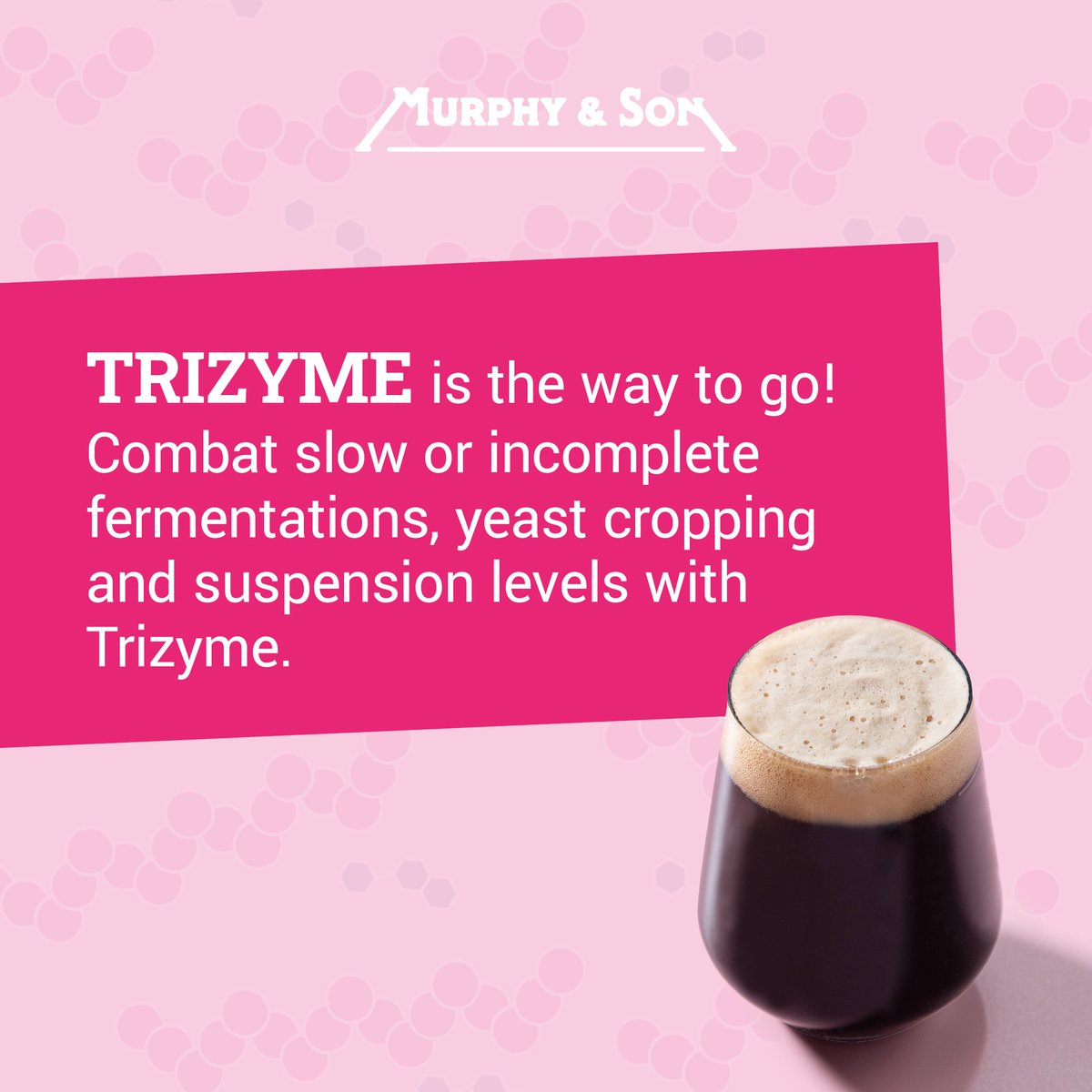 Would you like another beer...who wouldn't! 🍺

Glucanase's stronger sibling Trizyme targets your brew with three different enzymes - this targets more sugars and gives you a clearer beer with more wort runoff. 

What's not to like?

#Trizyme #Enzyme #BrewBetterBeer