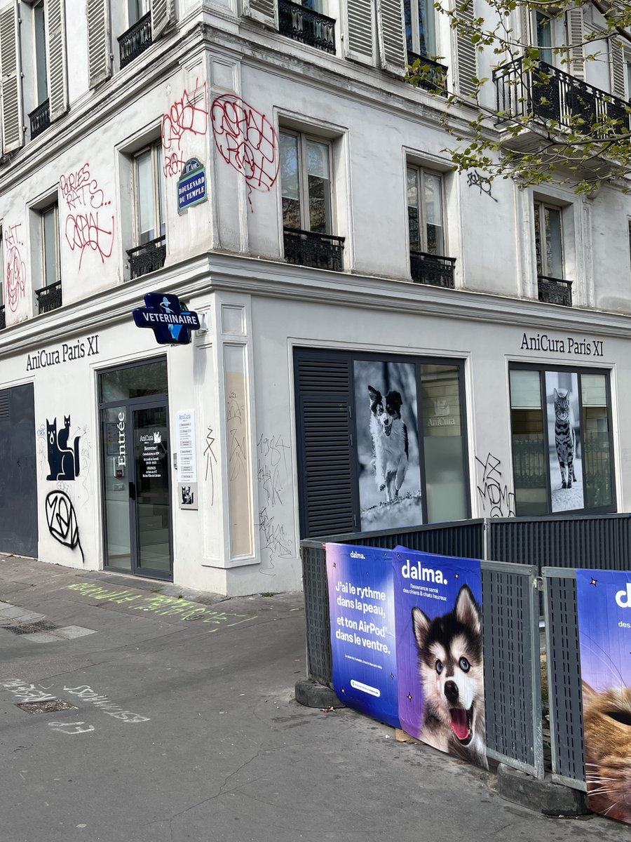 Dalma, l'assurance santé 🐶🐱 tweet media