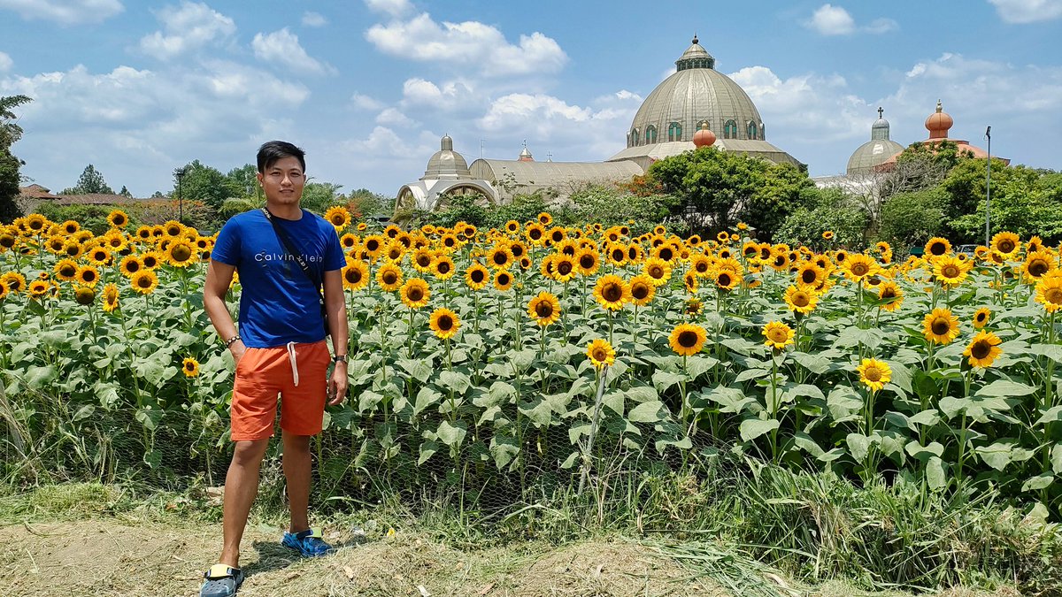 MotleyFuru's tweet image. RT @jc0524: 🌻 S P R I N G 🏰
•
•
•
•
•
•
•
•
#BeAlpha #SonyAlpha #passionpassport #stayandwander #naturelovers #lifeofadventure #philippines #exploretocreate #createexplorediscover #DiscoverMNL #tarasasouth #TigaSouthKaBa #beautifuldestinations