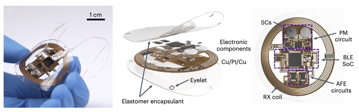 Nature Biomedical Engineering tweet media