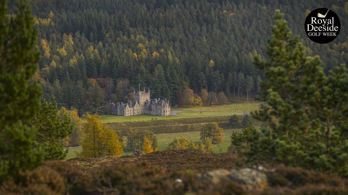 Royal Deeside Golf Week tweet media