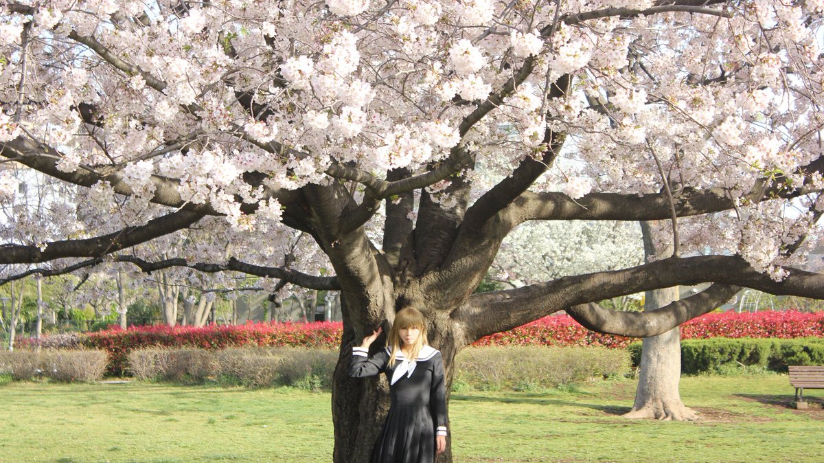 マリみてと過ごした春をまとめたよ🌸