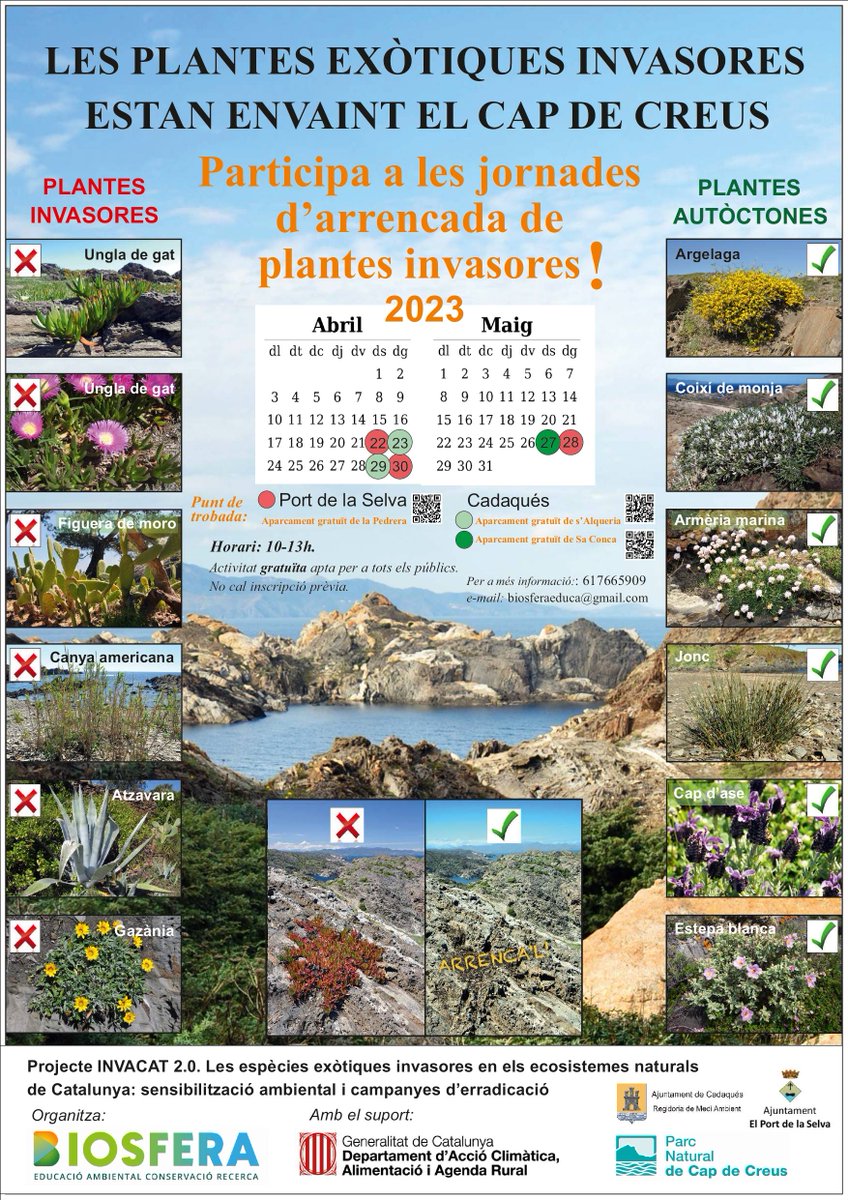 BIOSFERA (@biosferaeduca) on Twitter photo 🌿Anima't a participar a les jornades d'arrencada de plantes invasores al PN Cap de Creus. Necessitem la teva ajuda! Volem demanar-vos difusió de la iniciativa a les vostres xarxes socials: Facebook, Twitter I Instagram. Amb el suport de <a href="/accioclimatica/">Assemblea d'acció climàtica</a> 🌿Anima't a participar a les jornades d'arrencada de plantes invasores al PN Cap de Creus. Necessitem la teva ajuda! Volem demanar-vos difusió de la iniciativa a les vostres xarxes socials: Facebook, Twitter I Instagram. Amb el suport de <a href="/accioclimatica/">Assemblea d'acció climàtica</a>