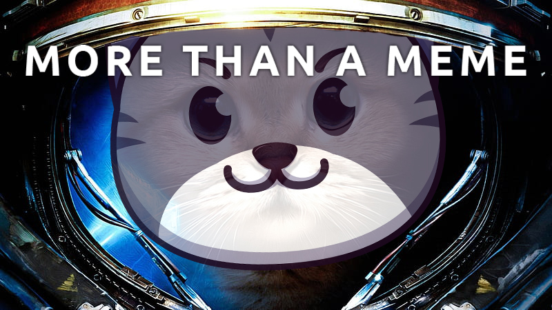 TheRealCatcoin's tweet photo. Catcoin is much more than what you can imagine.💎 

Be a part of it!
https://t.co/zloKzyqKRS

#Catcoin #Cats #Catfamily #Catsarmy #Catolution #Digital #Financial #Freedom #Cryptocurrency #Ethereum #Bitcoin #MiaoshiNekomoto #ShibaKiller https://t.co/x4YVSHC5fR
