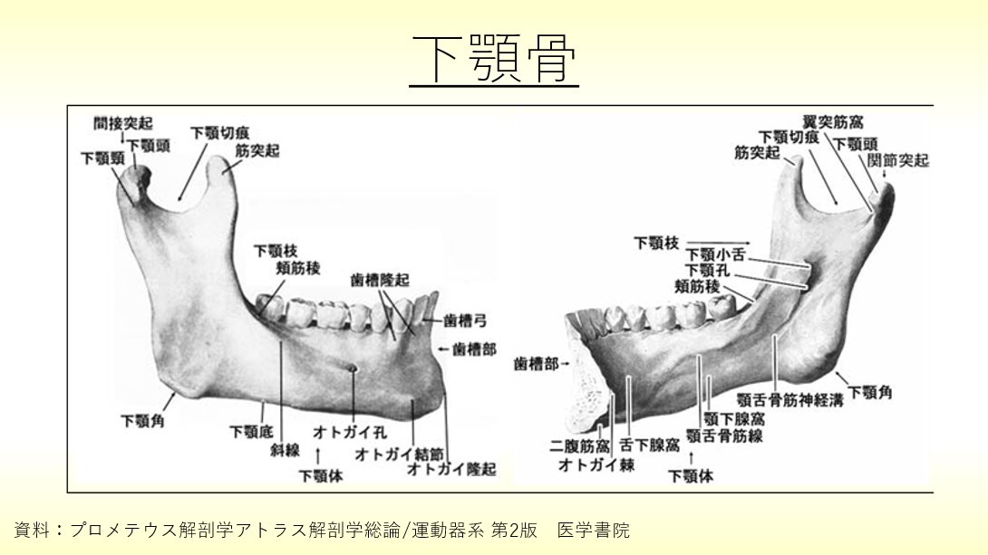 ロムニーハウス 一式 歯科医師国家試験-