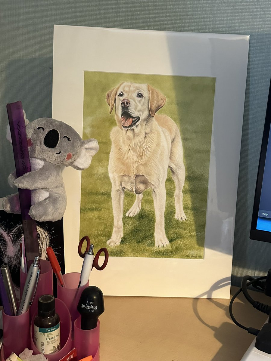 Received my beautiful Tilly from @NikiFirmin today. Tilly will have pride of place on my desk until I get her framed. Thank you so much Niki x