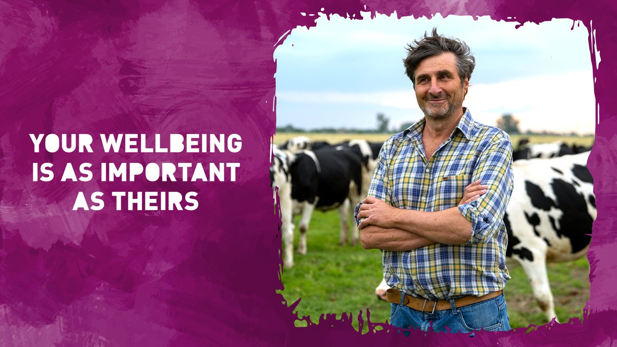 CALFMATTERS tweet media