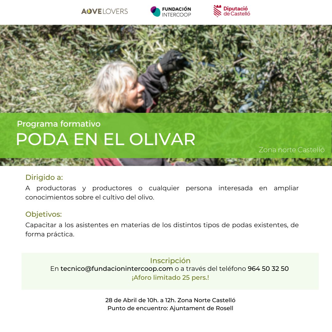 AOVE LOVERS tweet media