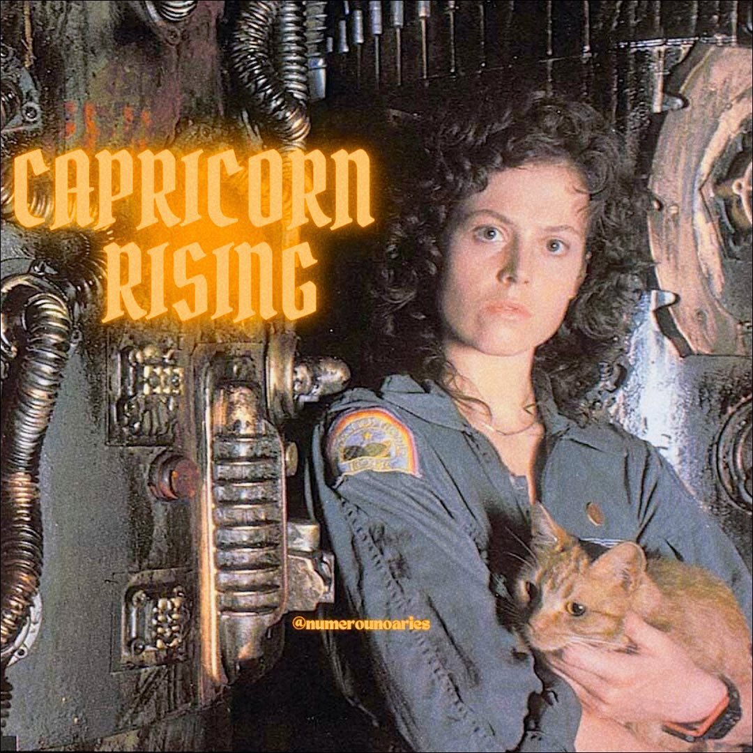 classhalfull's tweet image. 